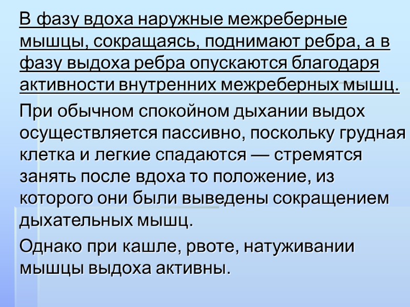 В фазу вдоха наружные межреберные мышцы, сокращаясь, поднимают ребра, а в фазу выдоха ребра